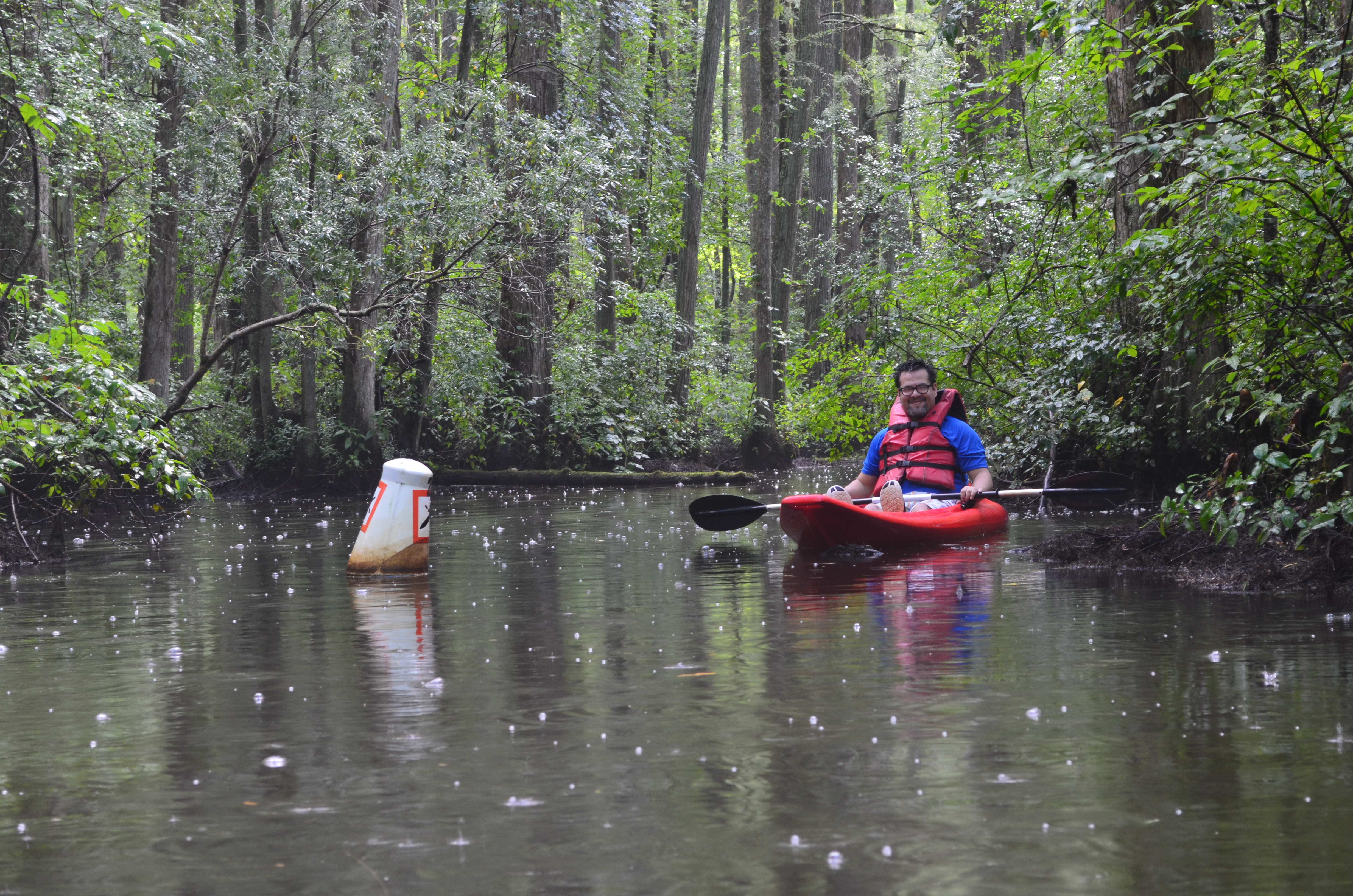 ./2017/13 - Roberson Millpond Preserve/DSC_0586.JPG